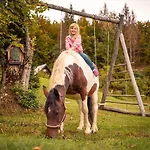 Alpine Homestead Apartment