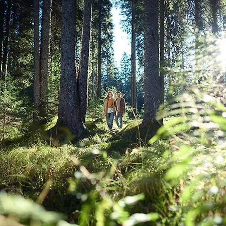Apartamento Alpine Homestead *