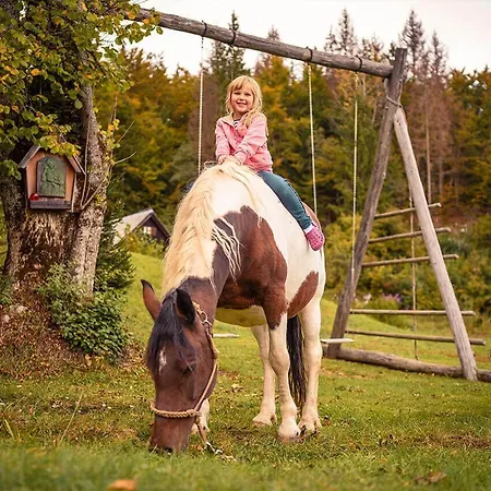 Alpine Homestead Apartamento
