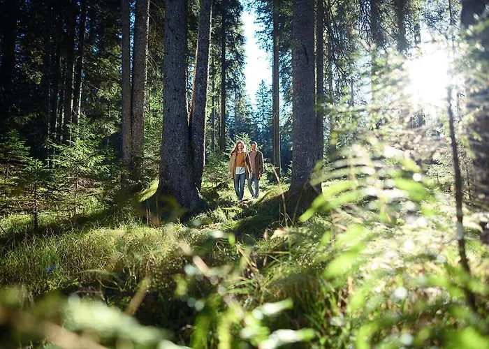 아파트 Alpine Homestead *