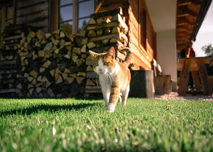 Alpine Homestead Goreljek